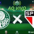 PALMEIRAS X SÃO PAULO SEMIFINAL PAULISTÃO 2026 COM TRANSMISSÃO COMPLETA DA WEB RÁDIO VERDÃO