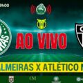 Líder em casa! Palmeiras x Atlético-MG AO VIVO na Web Rádio Verdão — domingo (26), às 19h30