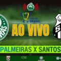Clássico no aniversário do Verdão! Palmeiras x Santos AO VIVO na Web Rádio Verdão — quarta (26), às 21h30