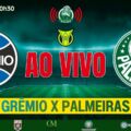 Matinê valendo a ponta! Grêmio x Palmeiras AO VIVO na Web Rádio Verdão — domingo (20), às 11h